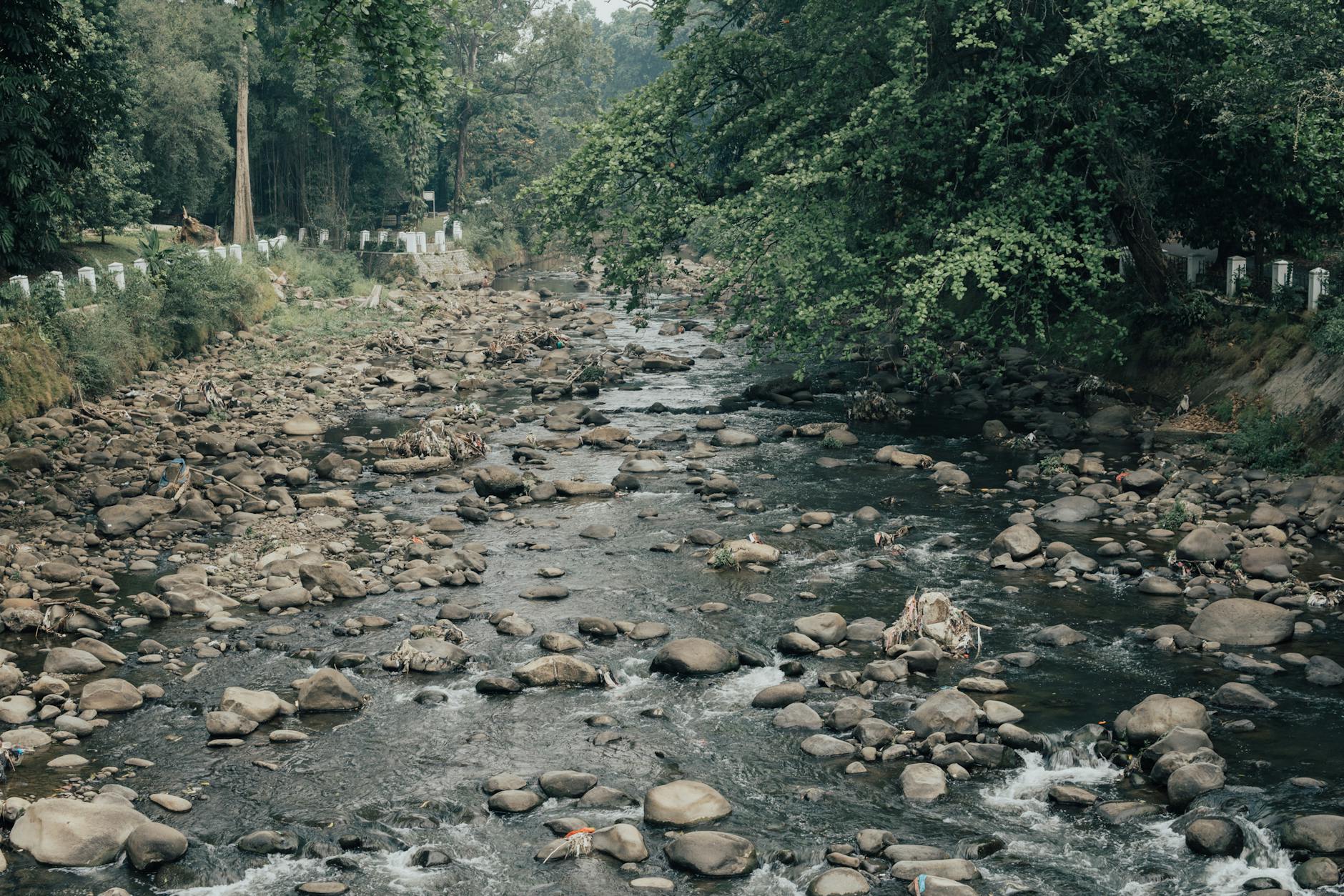 Corso d'acqua naturale senza sbarramenti che attraversa una valle verde