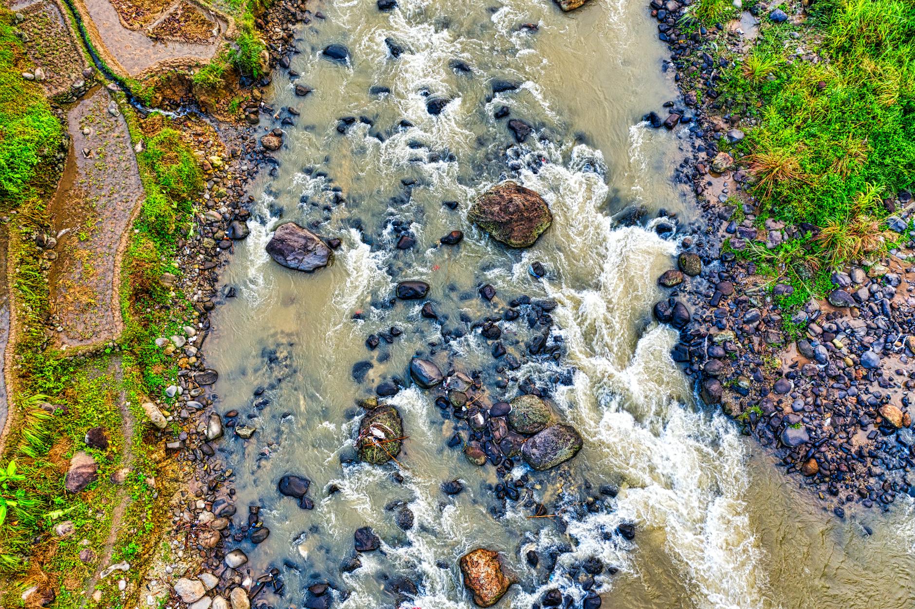 Fiume sano con vegetazione rigogliosa lungo le rive