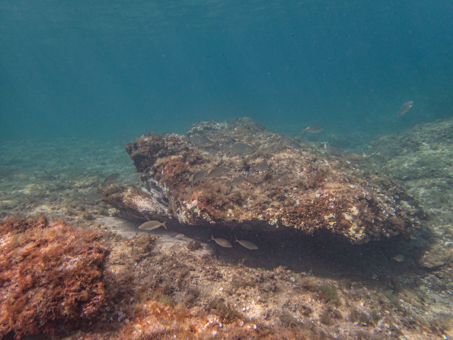 Superficie del mare azzurro