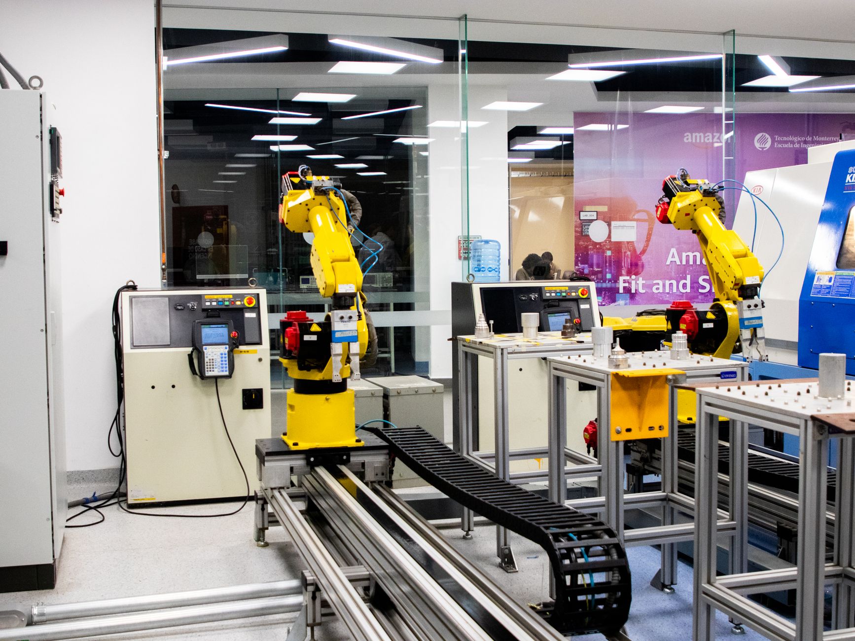 La robotica flessibile ispirata agli organismi viventi