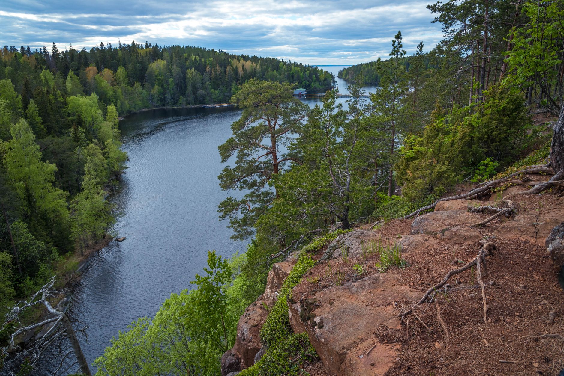 Paesaggio naturale della Finlandia con foresta e lago