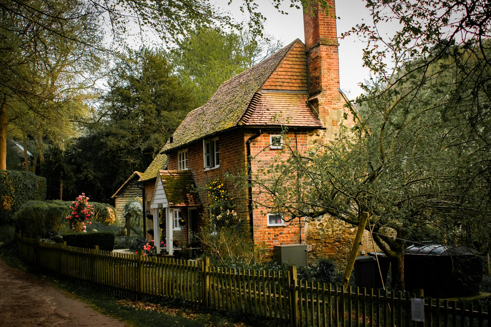 Thomas Hardy e la campagna inglese