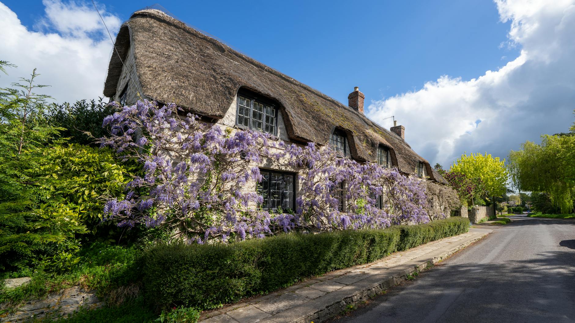 Thomas Hardy e la campagna inglese