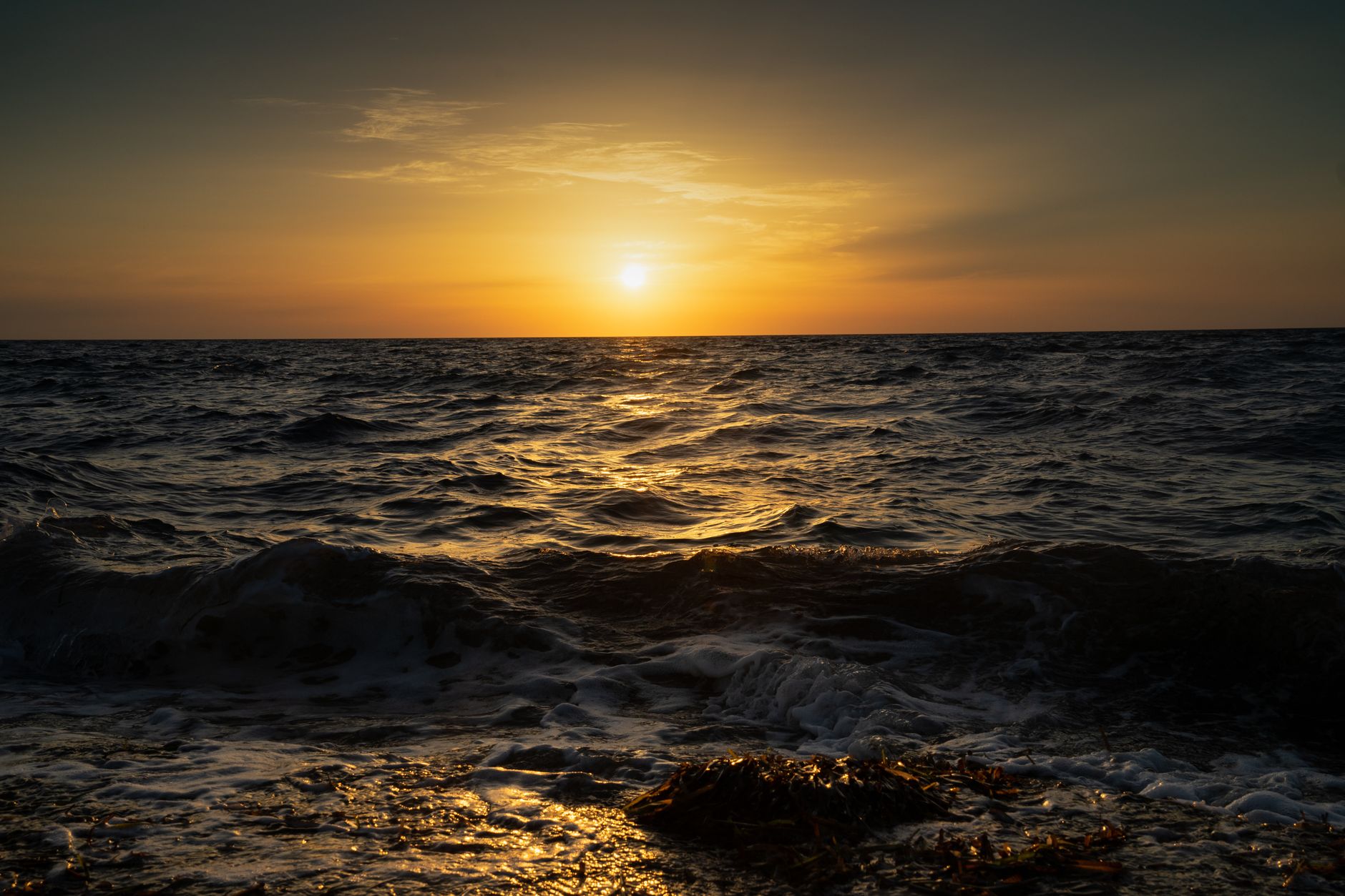 Distesa di oceano aperto con onde sotto un cielo limpido