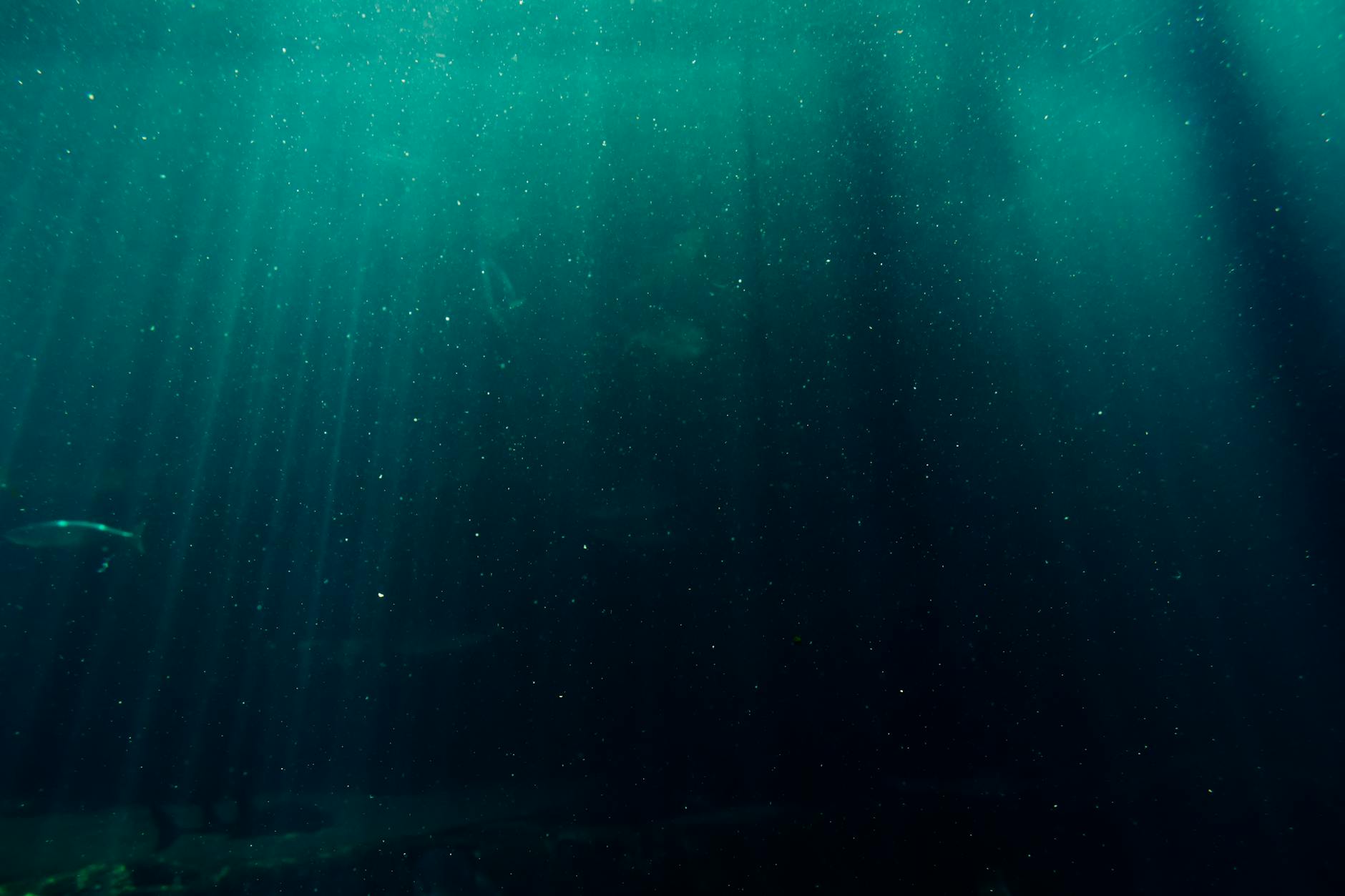 Acque profonde dell'oceano