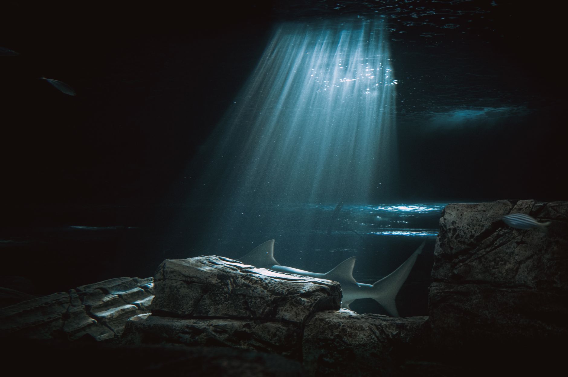 Profondità oceaniche dove vive il verme di Pompei
