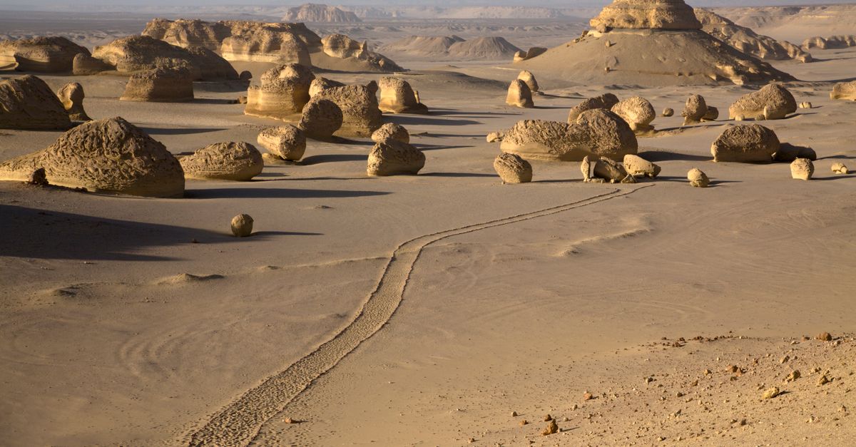 Deserto sabbioso dell'Africa centrale, ambiente di ritrovamenti fossili