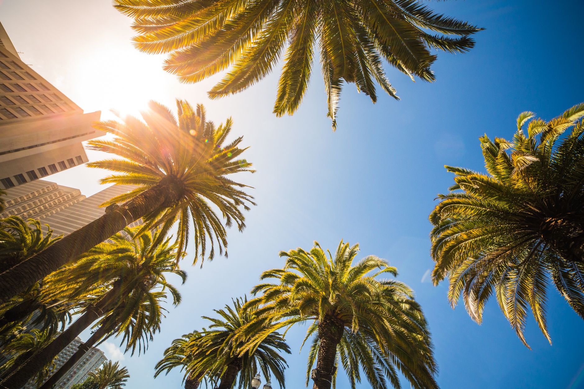 Città sotto il sole cocente durante un'ondata di calore estiva