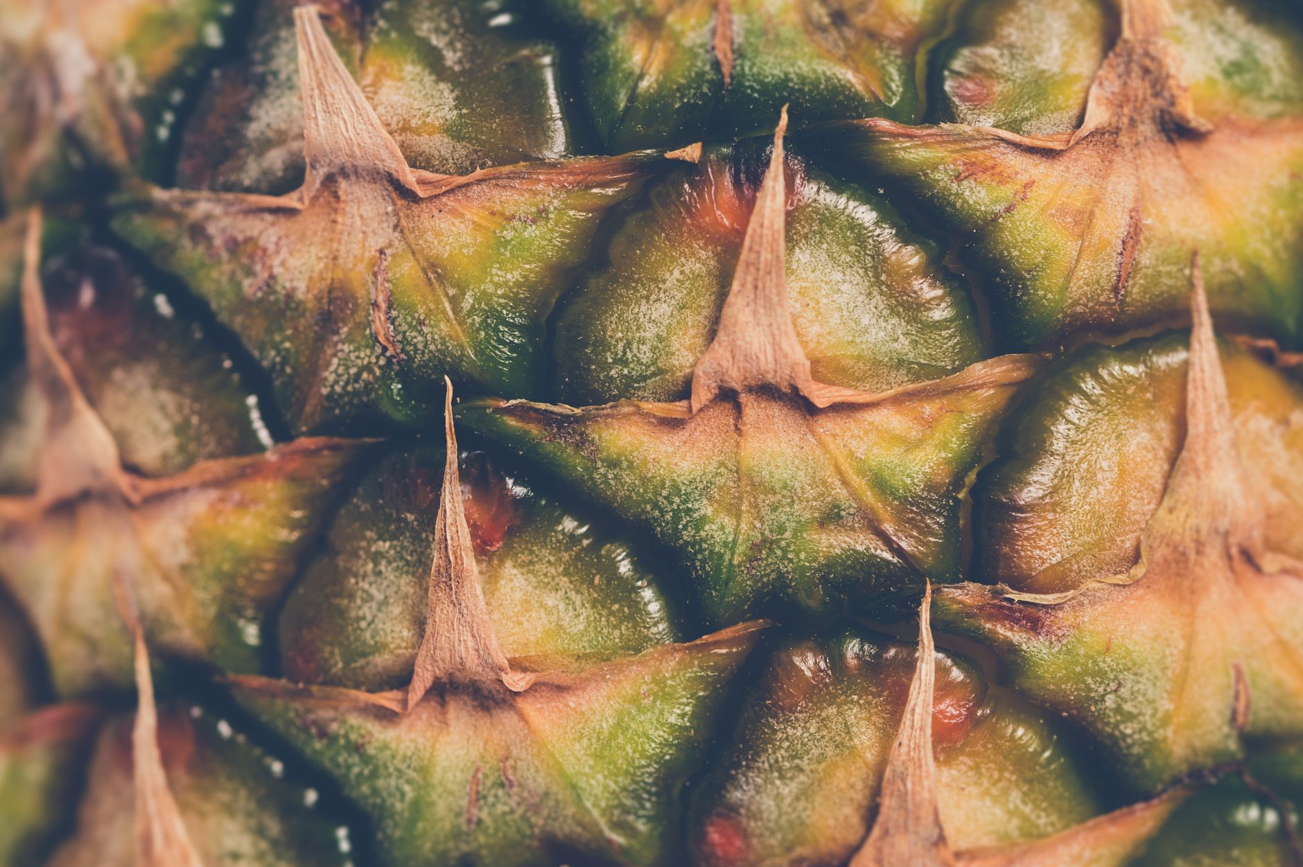 Fette di ananas tropicale pronte da mangiare