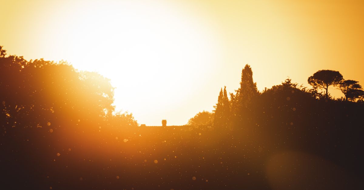 Paesaggio arido sotto il sole nelle ore più calde