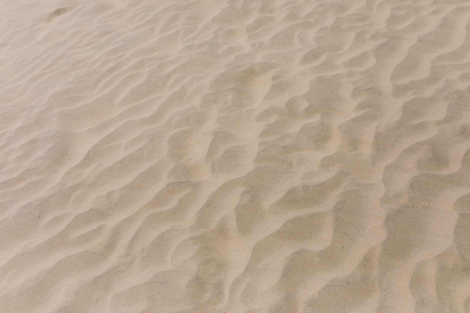 Distesa di sabbia con texture ravvicinata