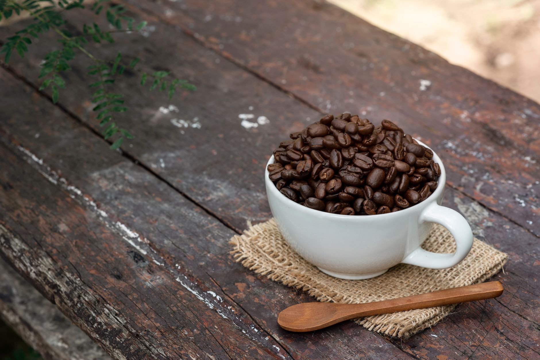 Tazzina di caffè espresso accanto a chicchi di caffè tostati