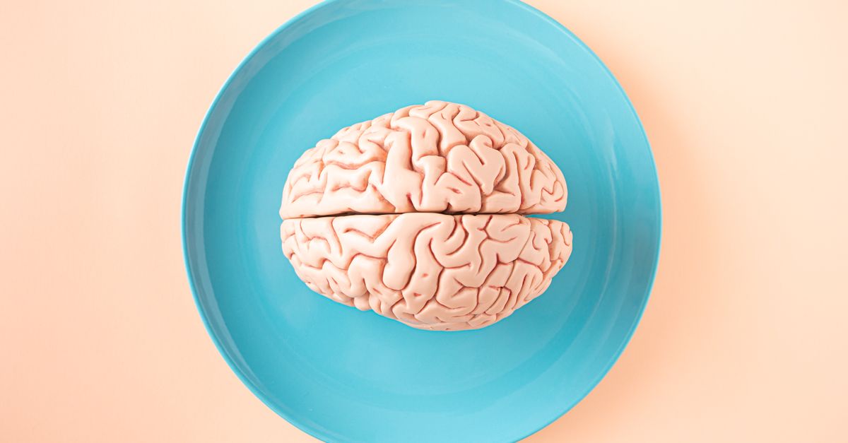Rappresentazione di una rete di neuroni