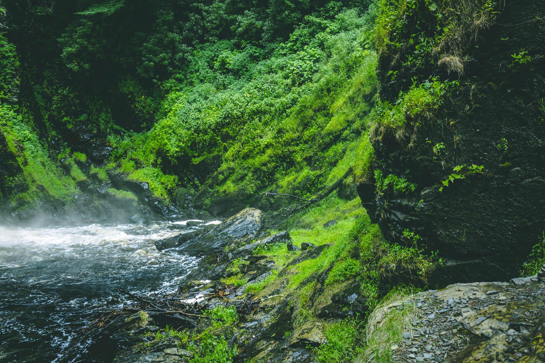Fiume nella foresta amazzonica avvolto dal vapore