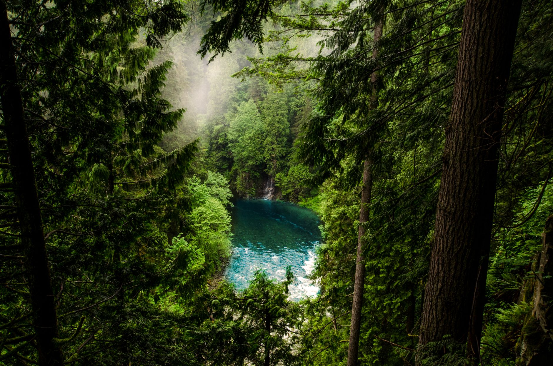 Fiume nella foresta amazzonica avvolto dal vapore