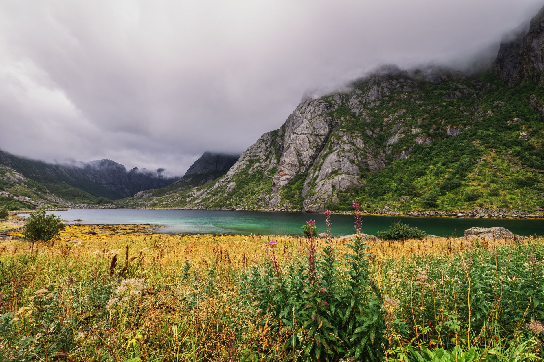 Fiordo norvegese immerso nella natura