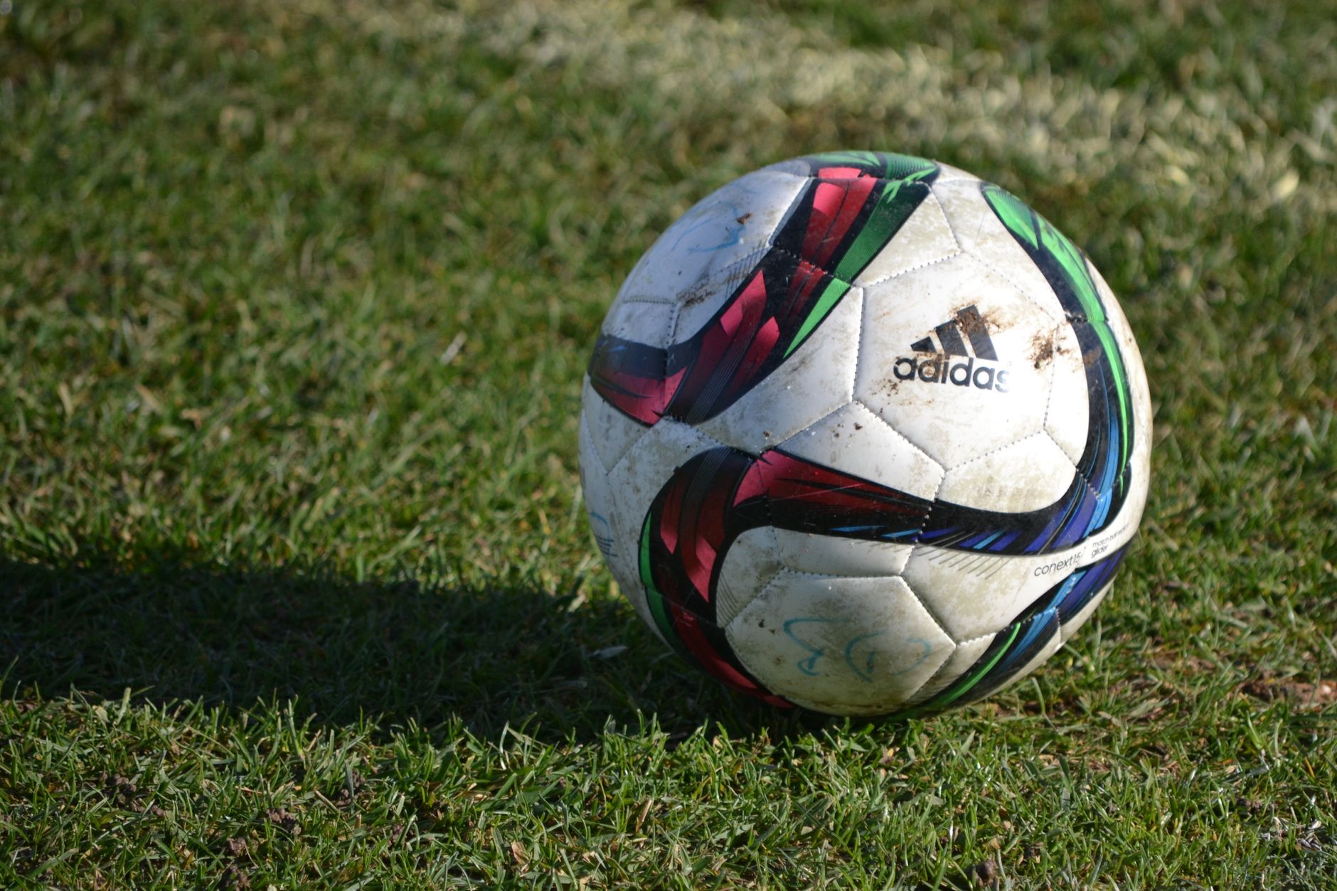 Pallone da calcio su un campo verde