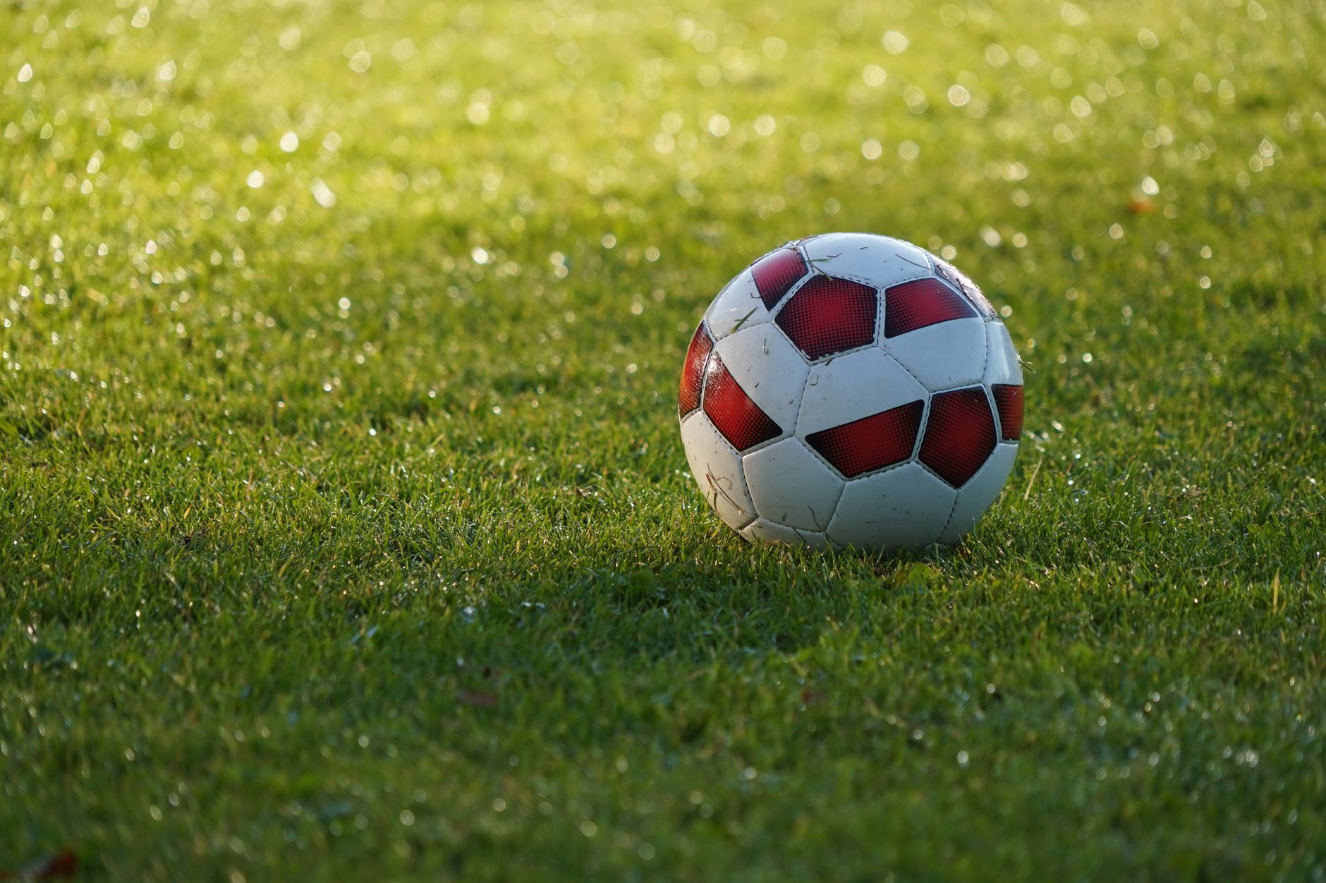 Dettaglio delle cuciture di un pallone da calcio