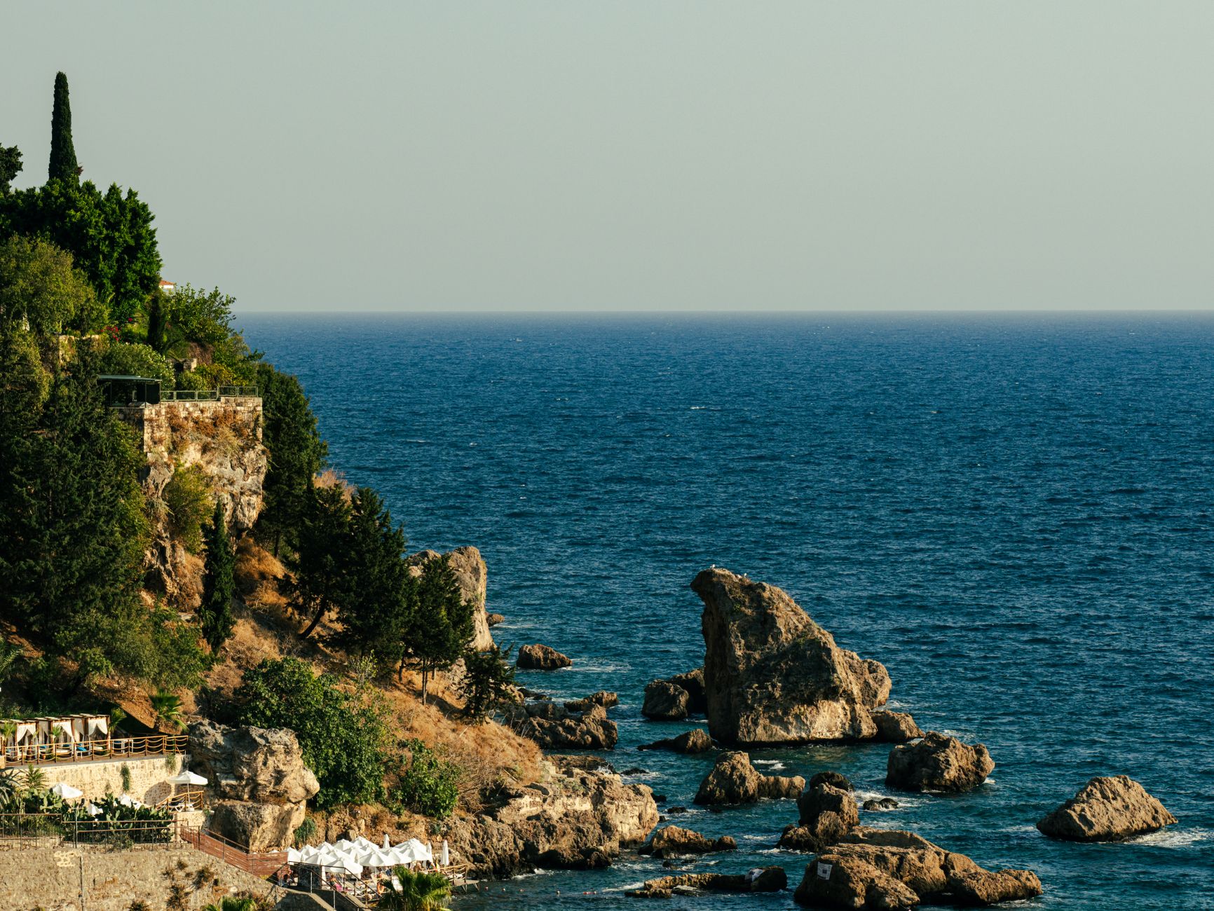 Fondale marino con prateria di posidonia