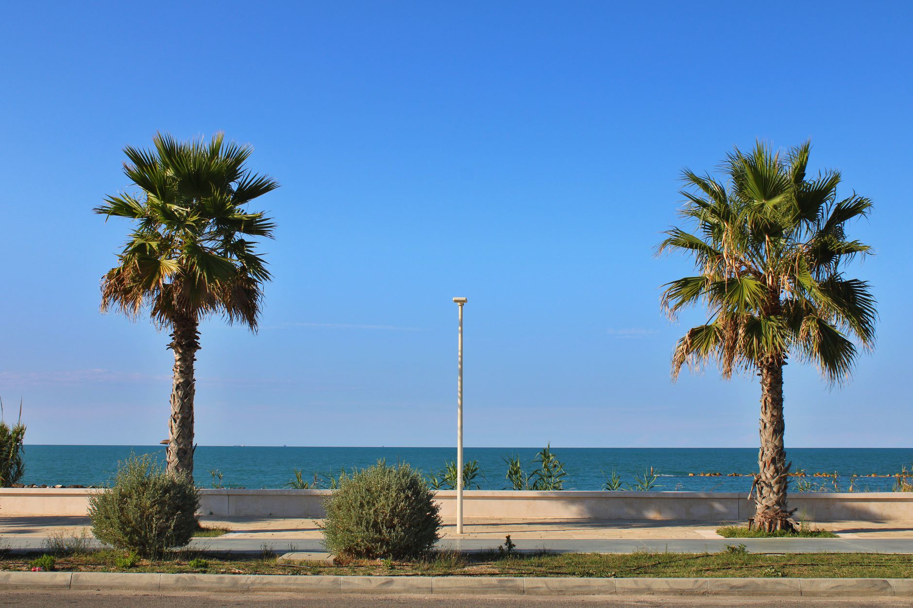 Vita marina nel Mediterraneo