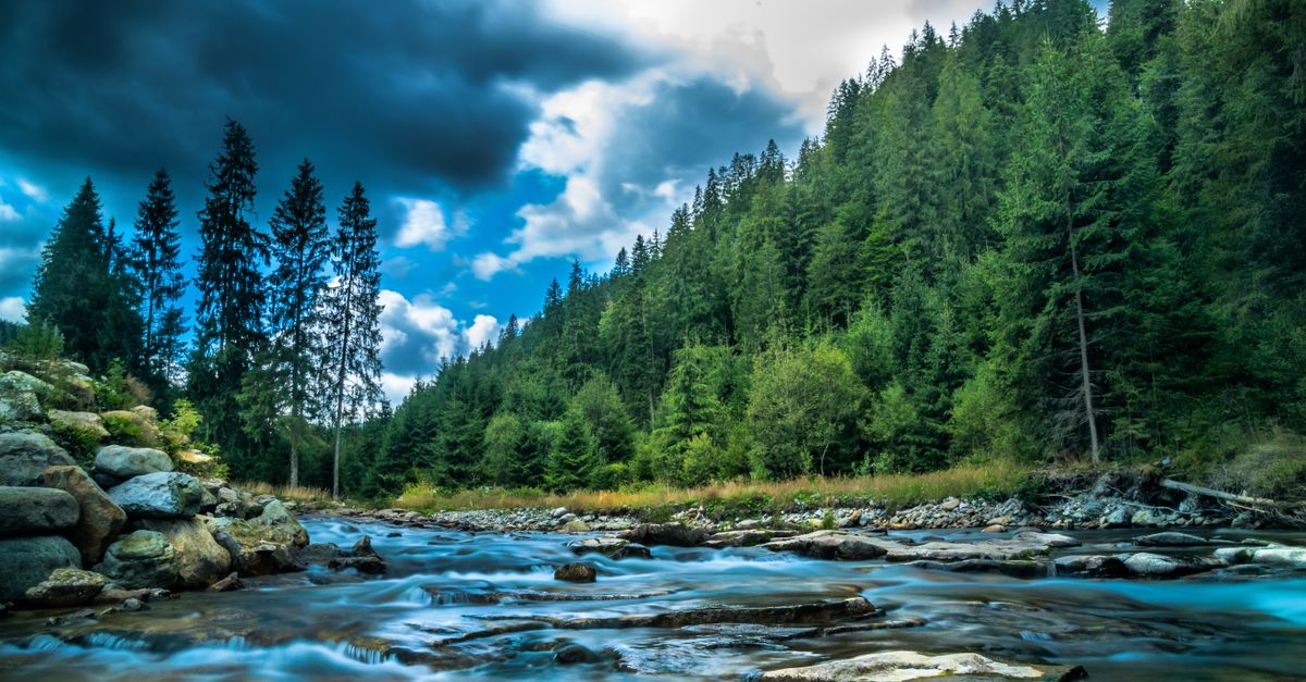 Fiume di montagna in un paesaggio naturale incontaminato