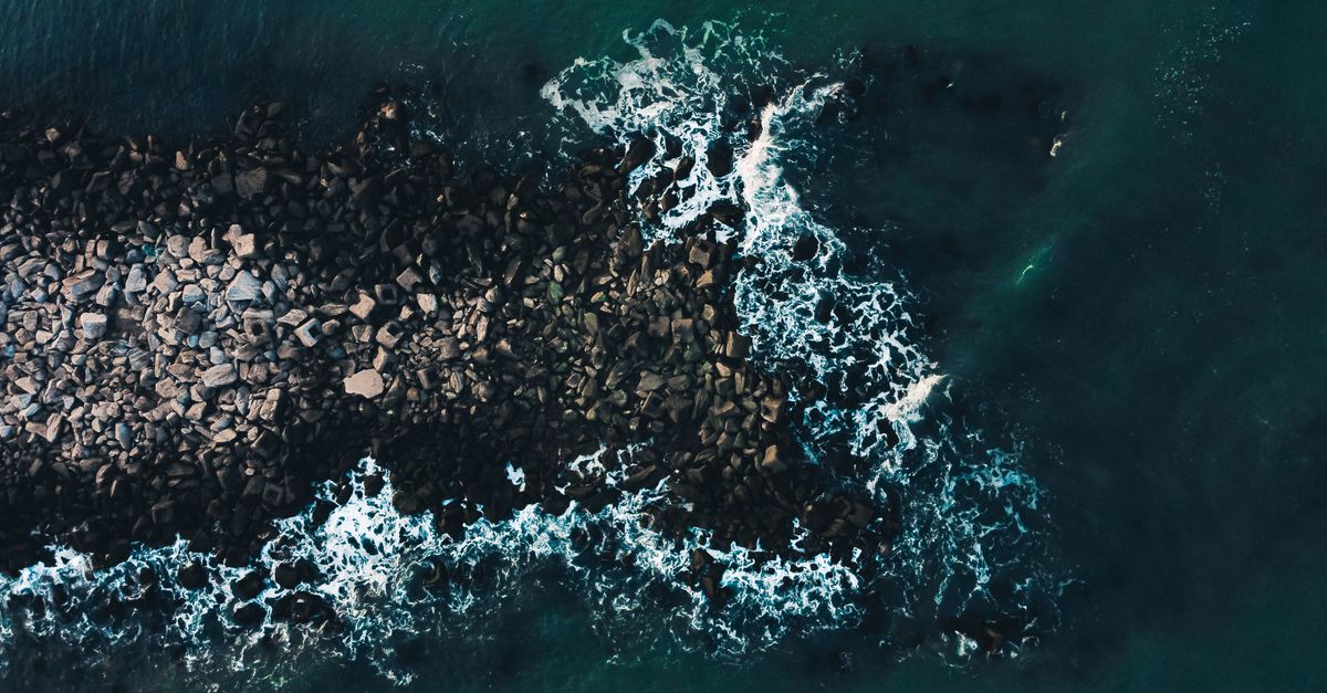Le profondità oceaniche, l'habitat naturale del regaleco.