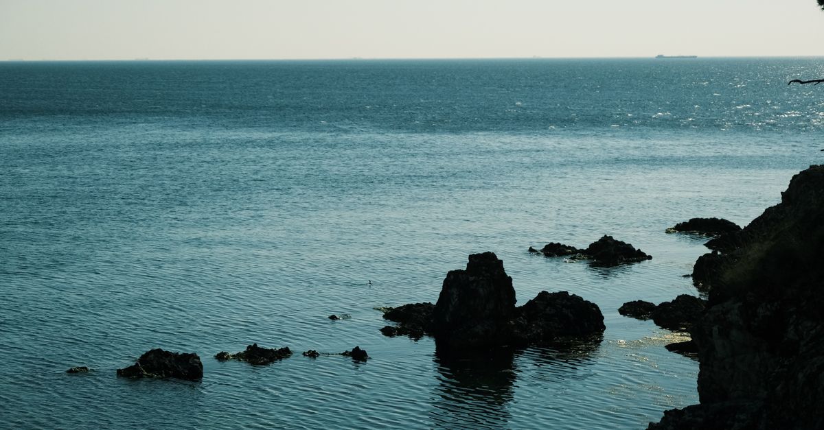 Gli abissi custodiscono ancora molti misteri della vita marina.