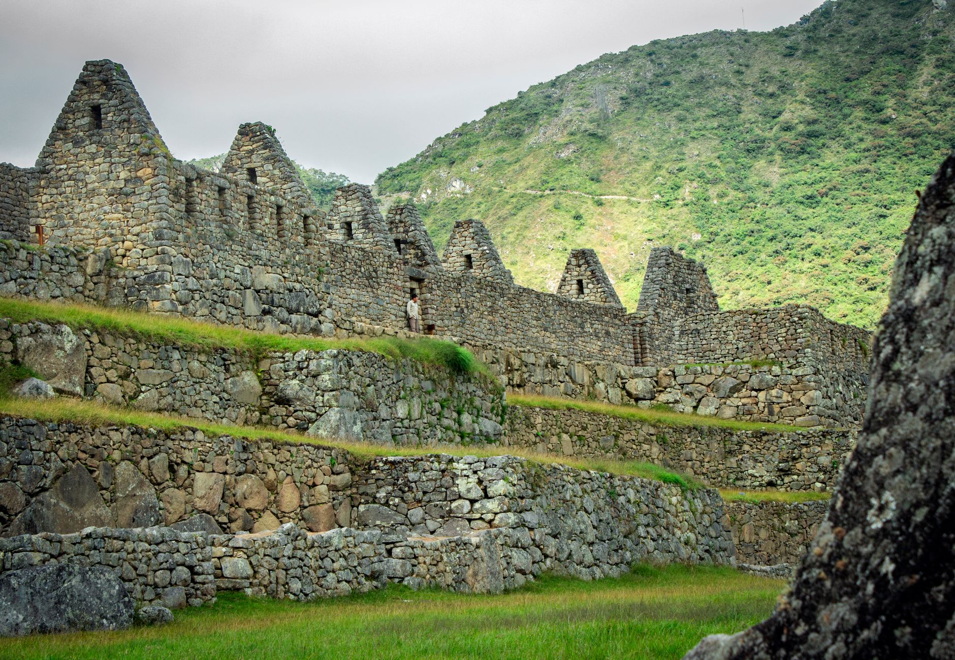 Rovine di pietra di Machu Picchu immerse nella vegetazione