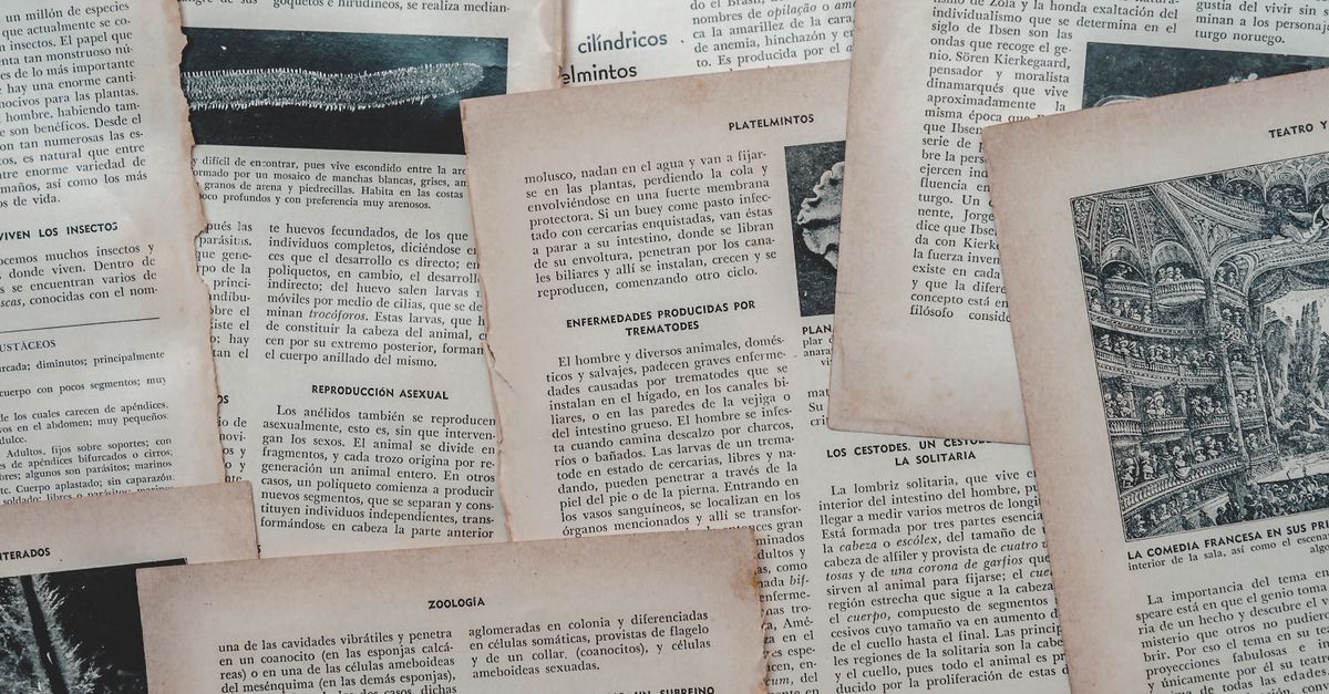 Persona che legge un libro alla luce naturale