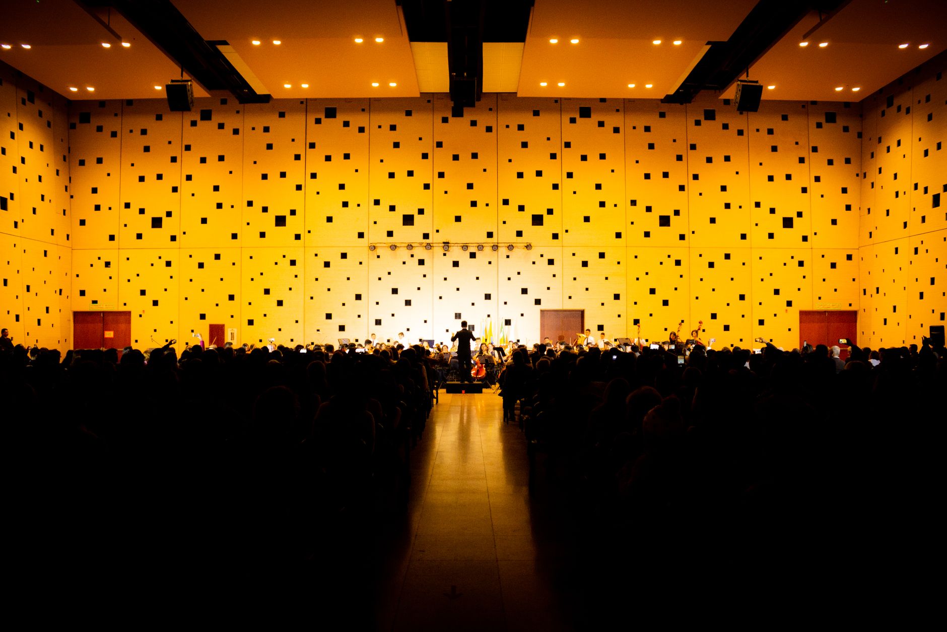 Orchestra sinfonica sul palco di un auditorium