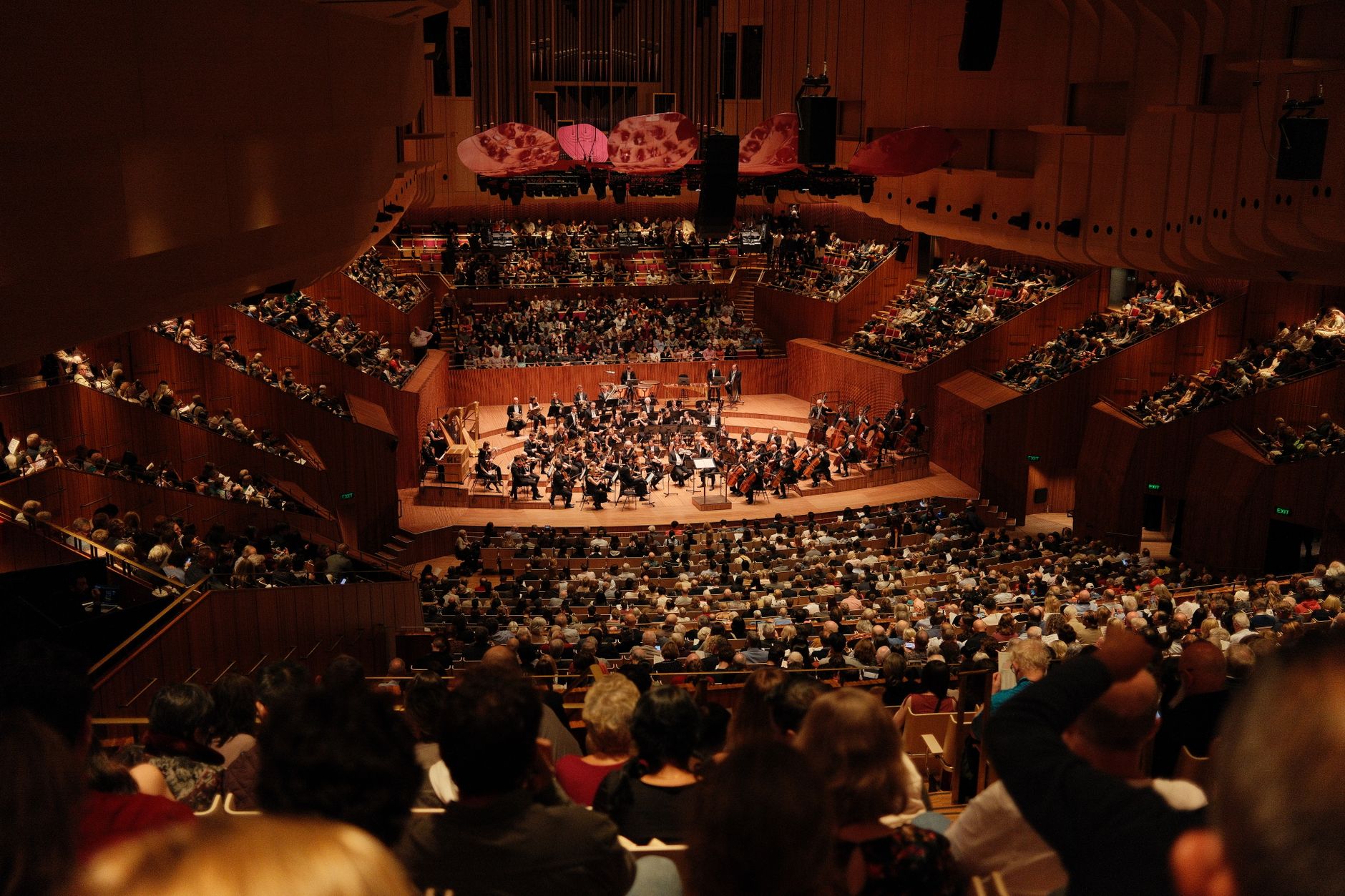 Musicisti d'orchestra durante un concerto serale