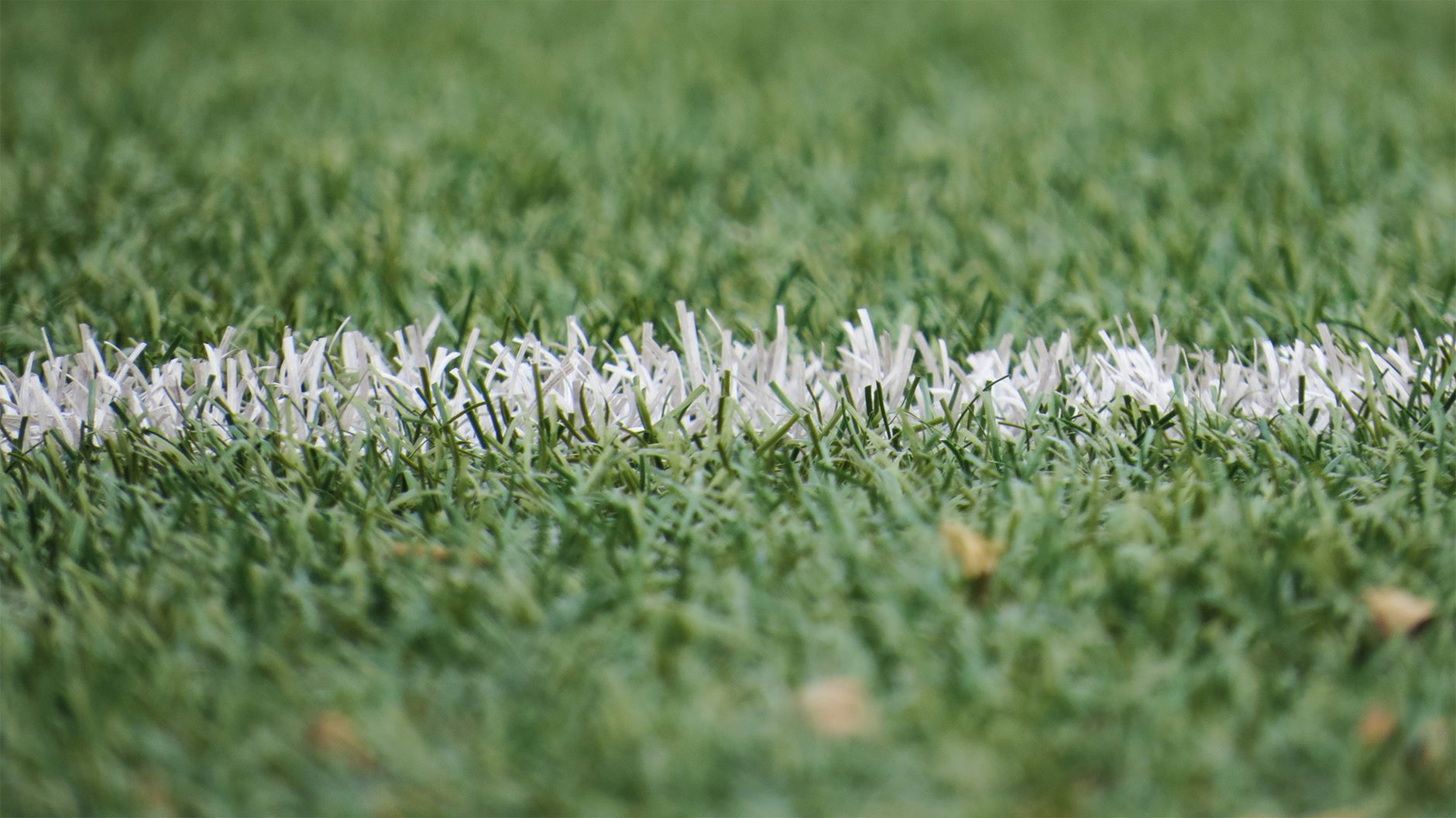 Campo da calcio verde visto dall'alto con le linee bianche