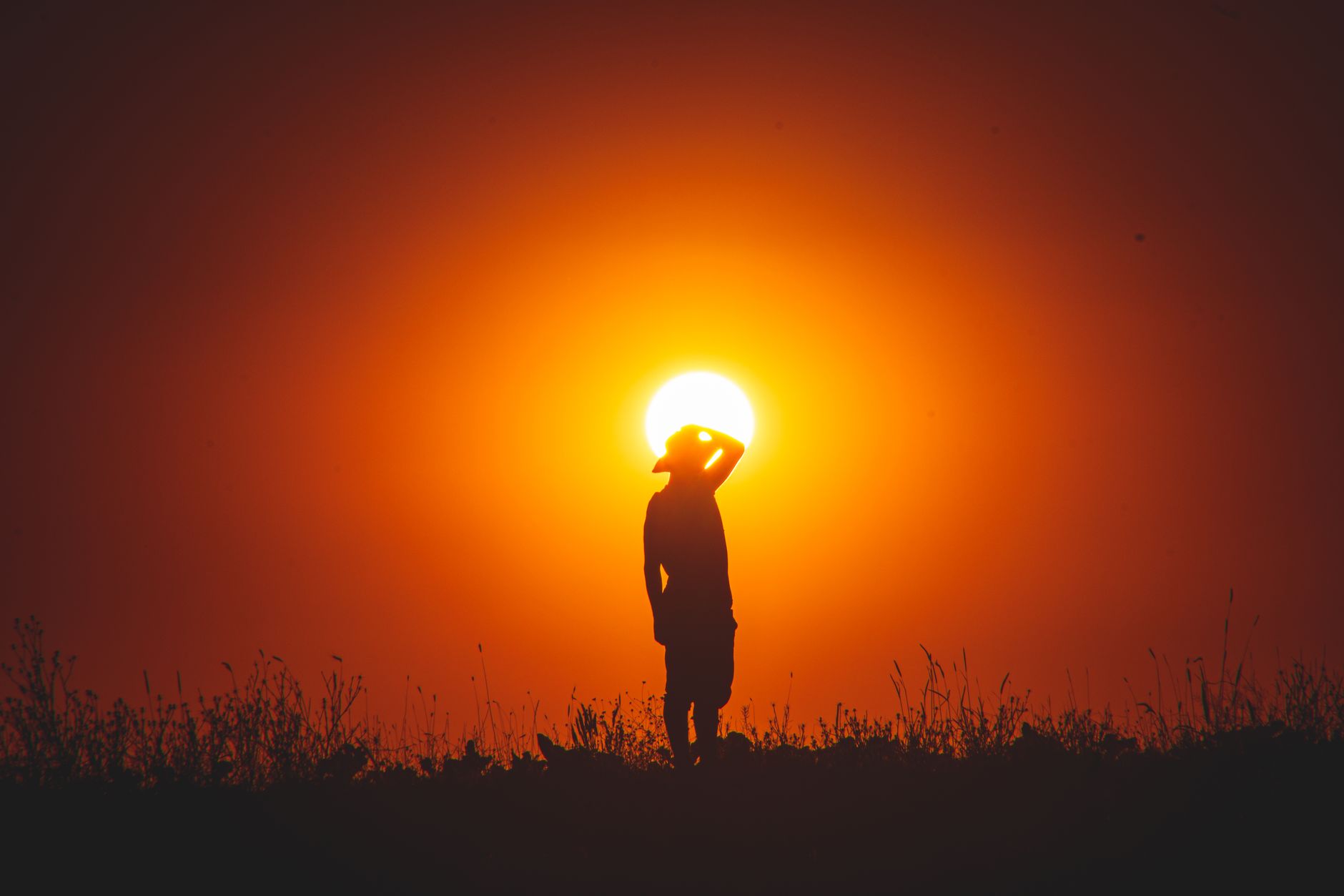 Paesaggio arido sotto il sole battente dell'estate