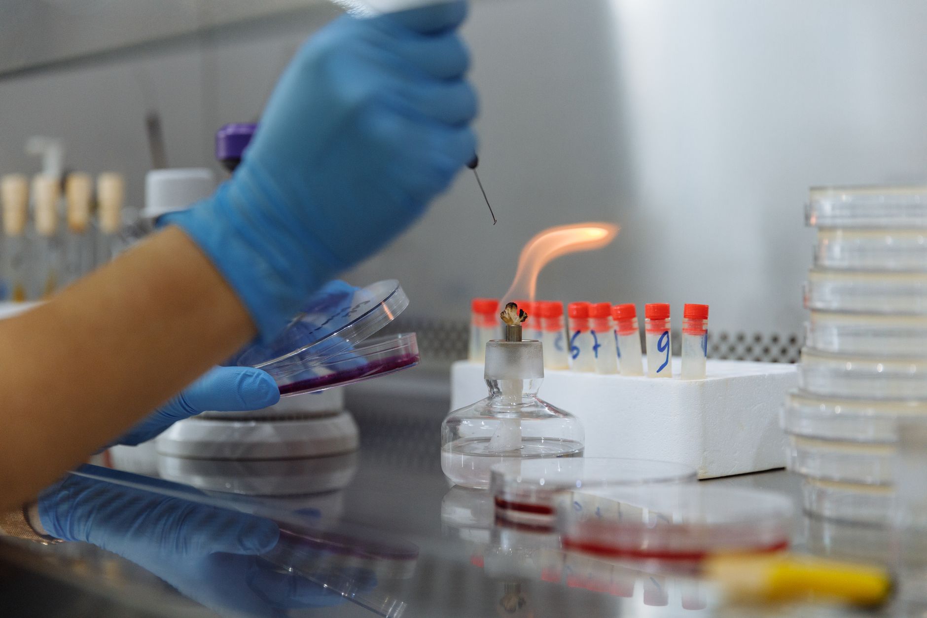 Campioni scientifici in capsule su un tavolo