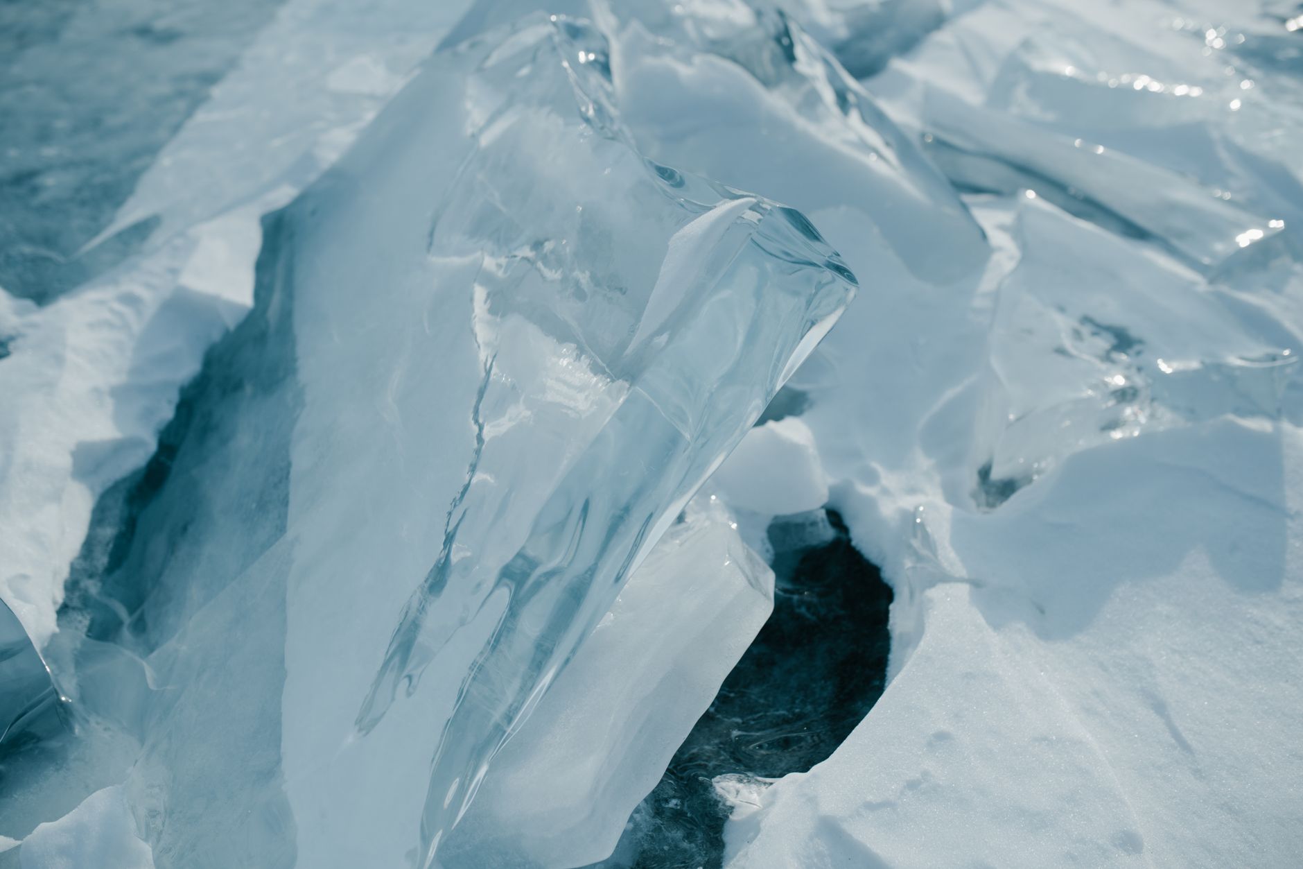 Iceberg e ghiacci polari