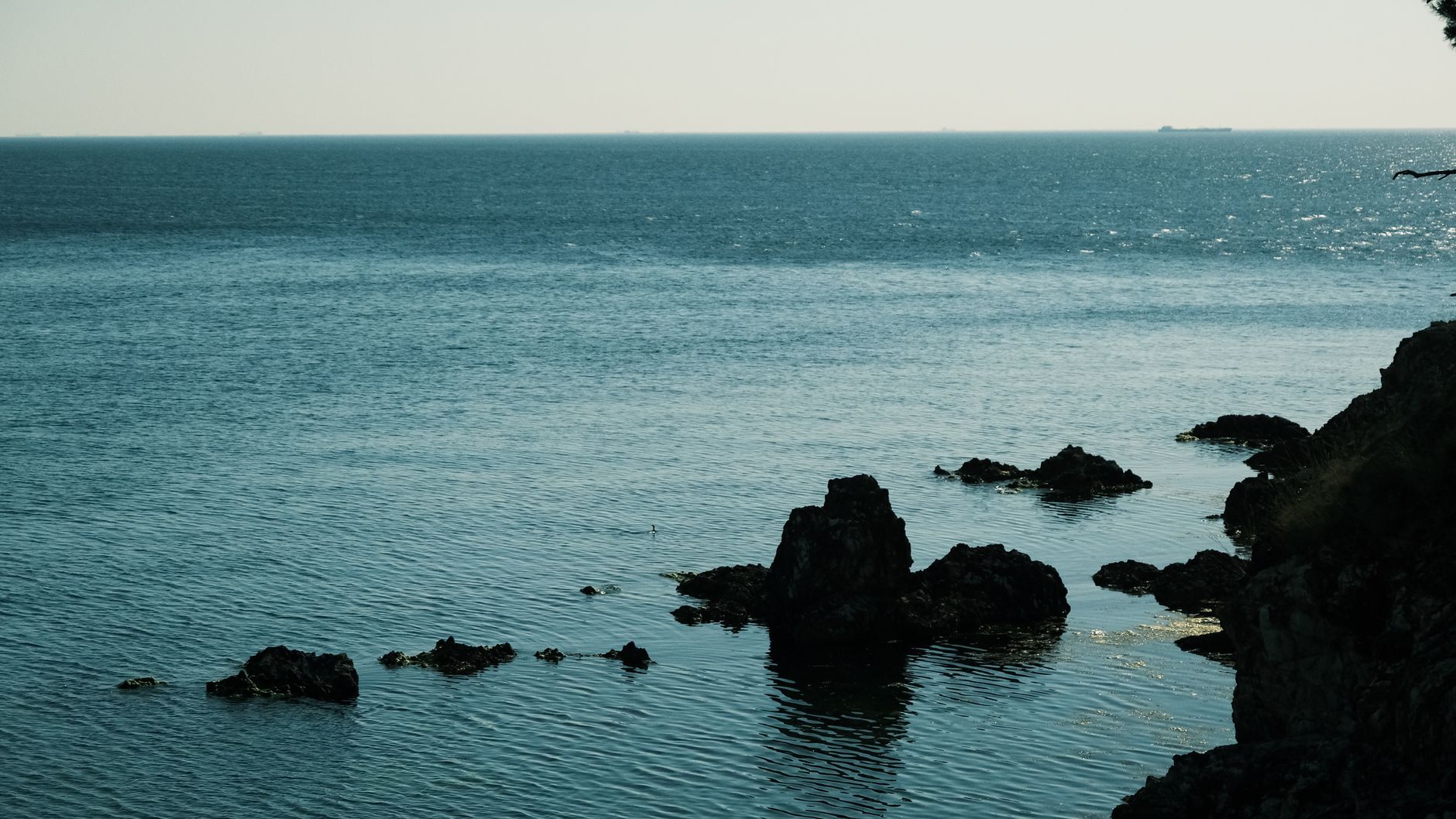 Fondale oceanico esplorato dalla ricerca scientifica