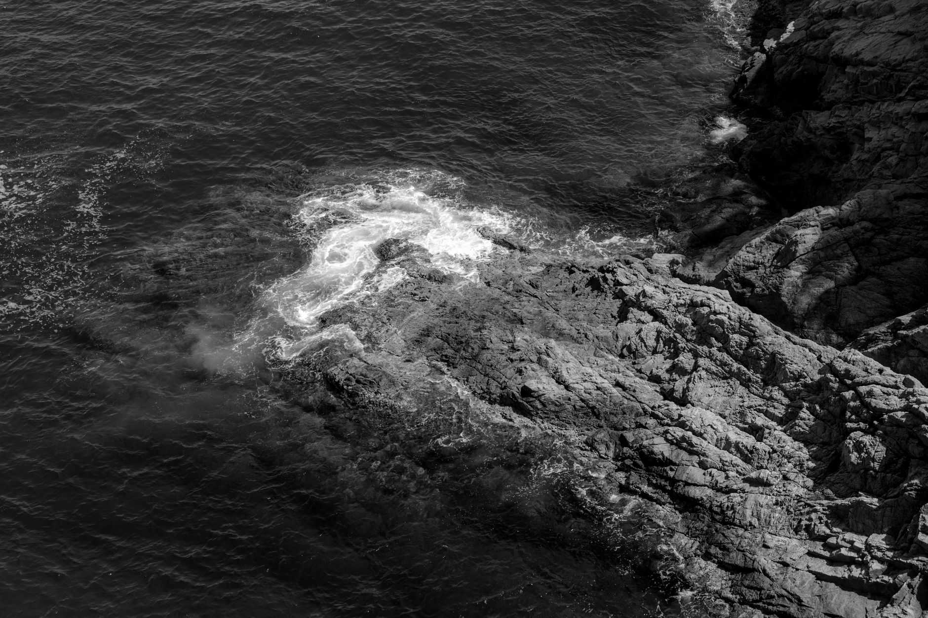 Acque profonde e buie dell'oceano