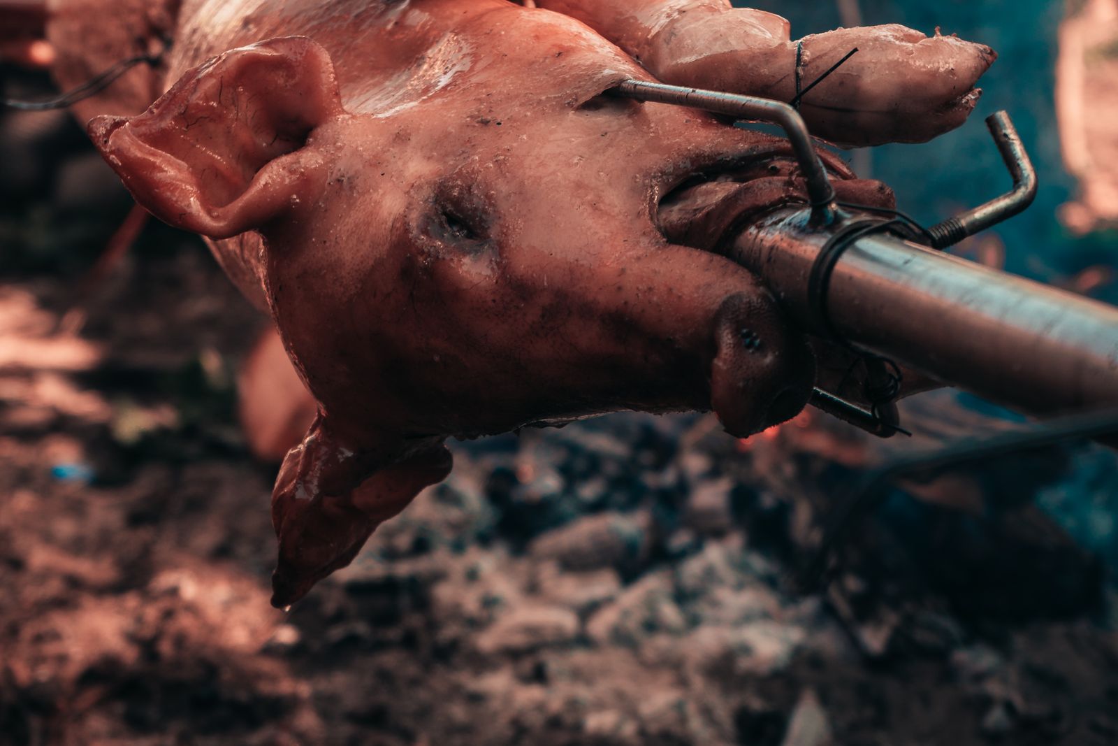 Carne di maiale arrotolata e cotta lentamente al forno