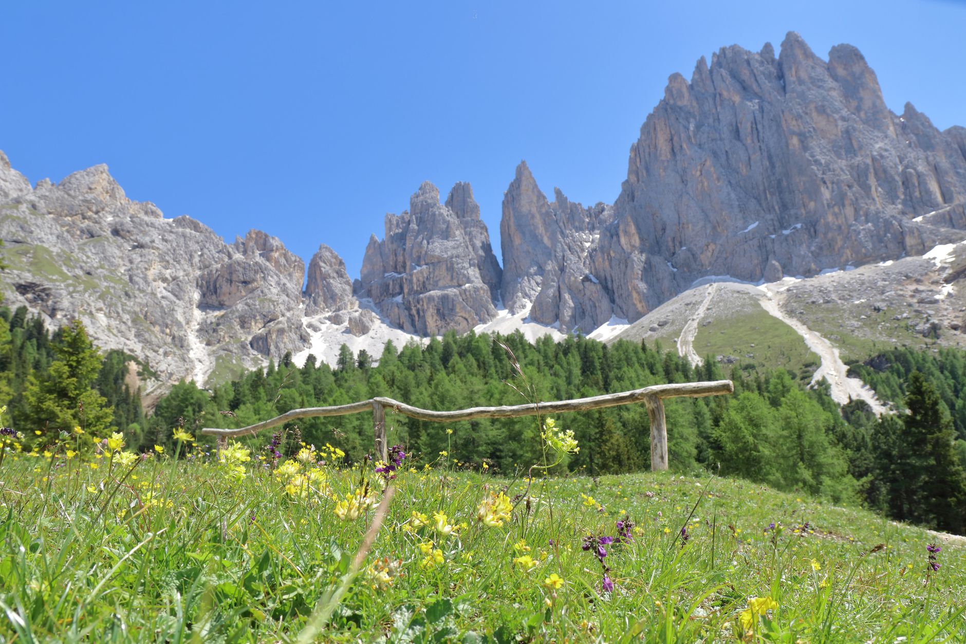 Vette delle Dolomiti all'alba