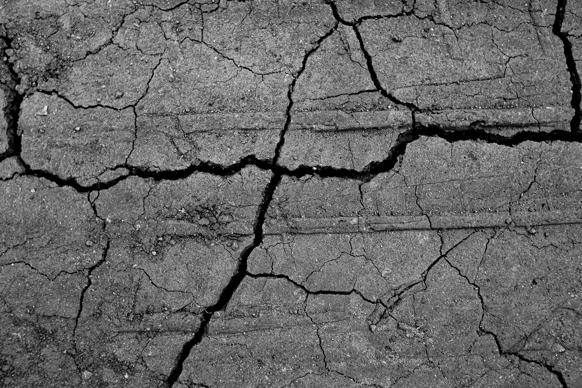 Onde sismiche registrate: la scienza della sismologia