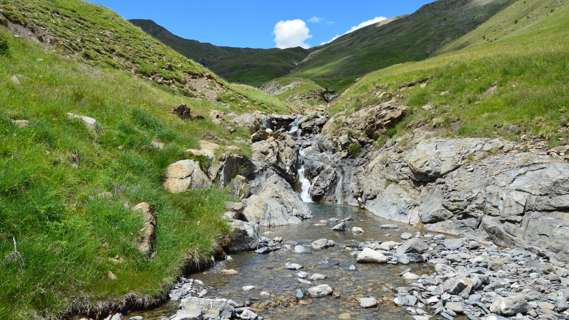Un limpido fiume di montagna, habitat della trota mediterranea