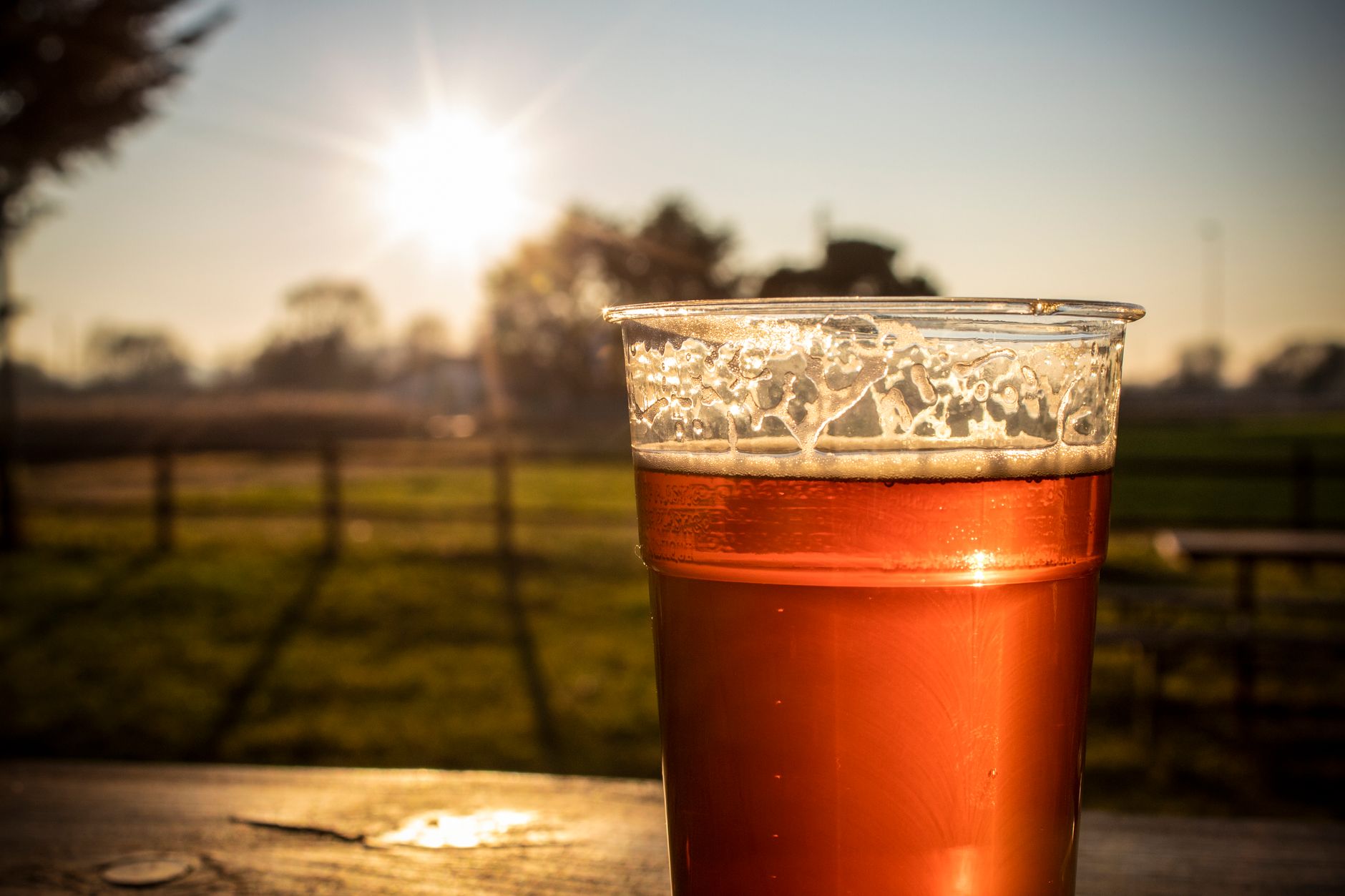 Bicchiere di birra chiara illuminato dal sole all'aperto