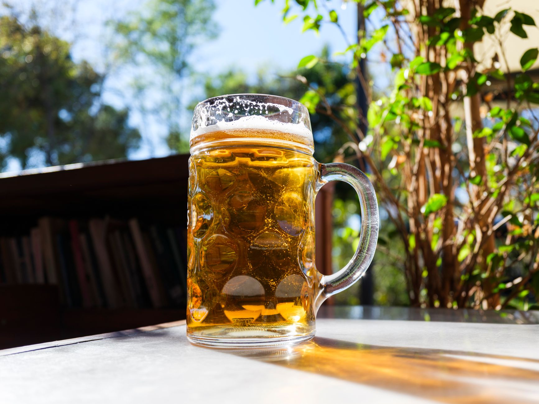 Amici che brindano con la birra all'aperto