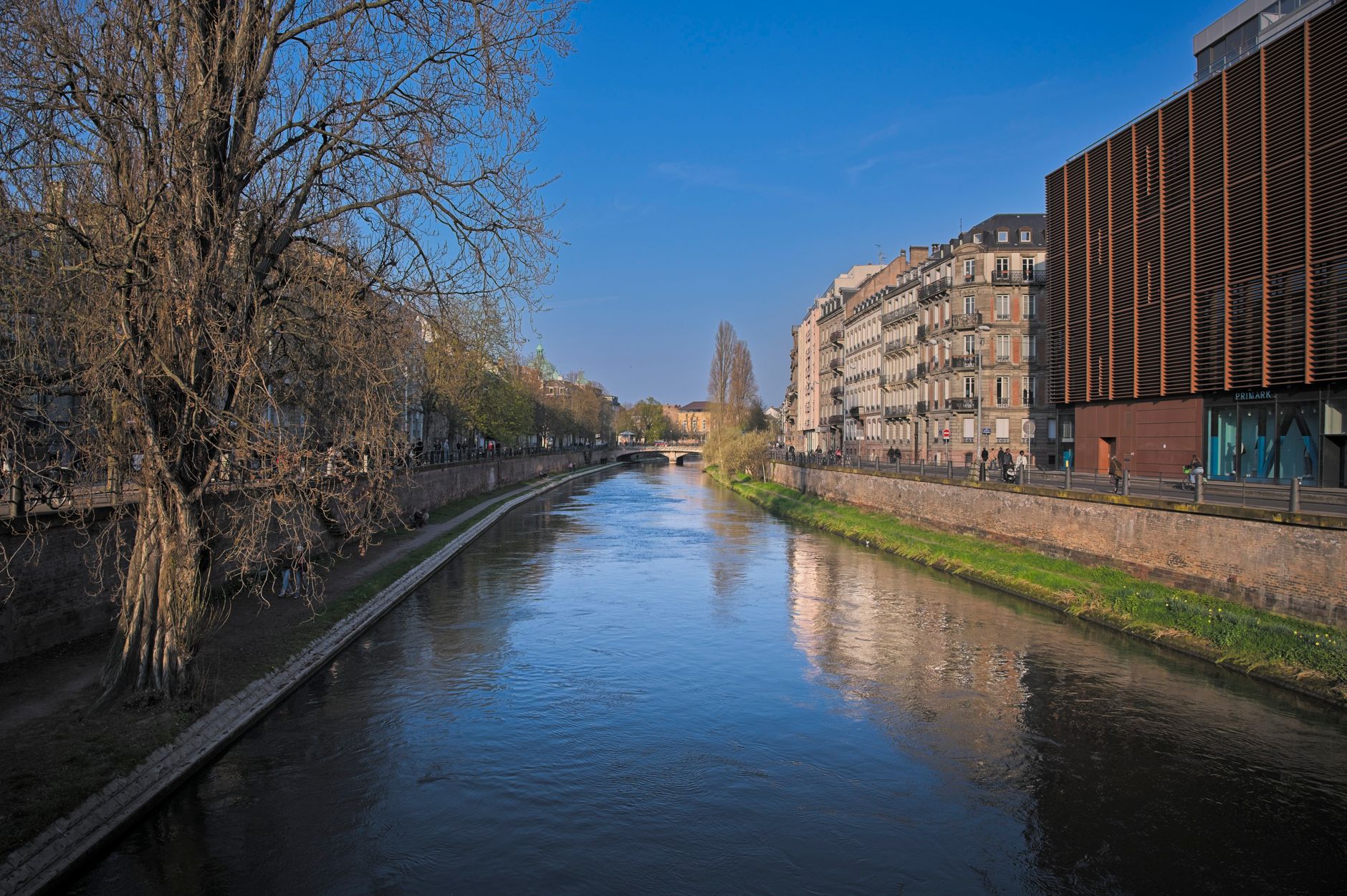 Acqua limpida di un fiume immerso nella natura