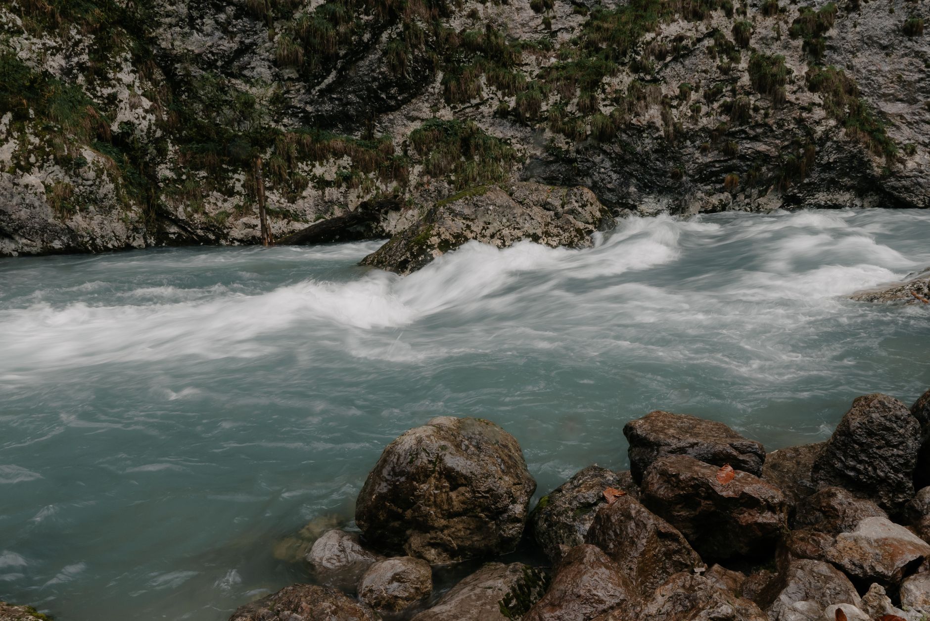 Corso d'acqua pulito che scorre nella natura