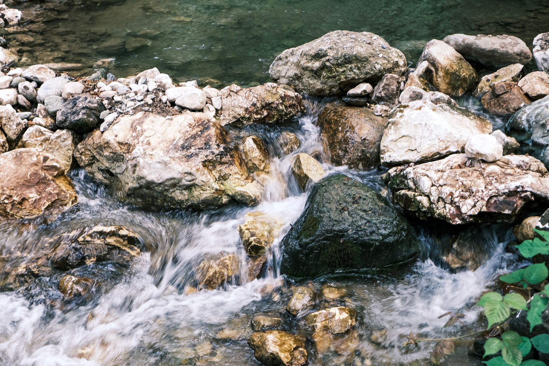 Paesaggio naturale con acqua e vegetazione verde