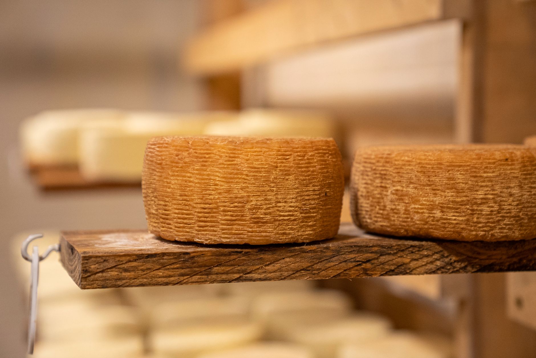 Formaggio stagionato tagliato