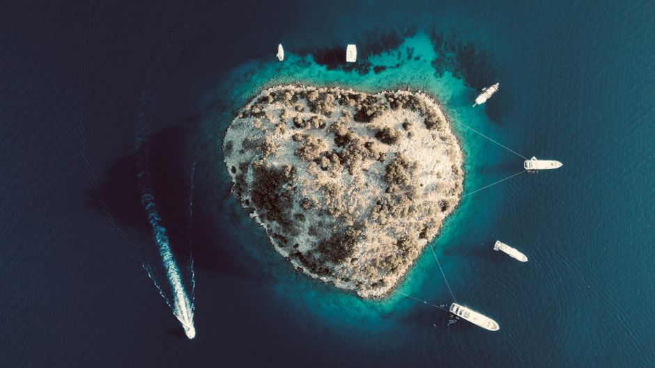 Tracciato di un elettrocardiogramma che mostra il battito cardiaco