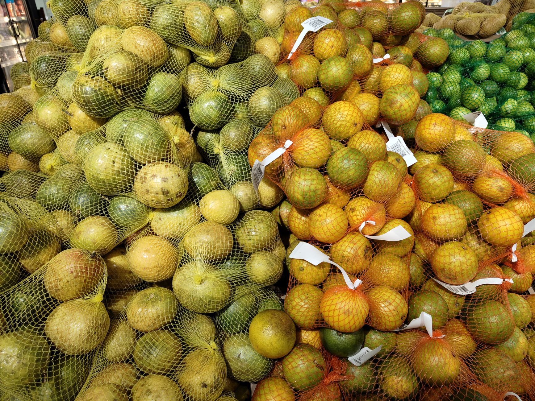 Fette di agrumi colorati viste da vicino