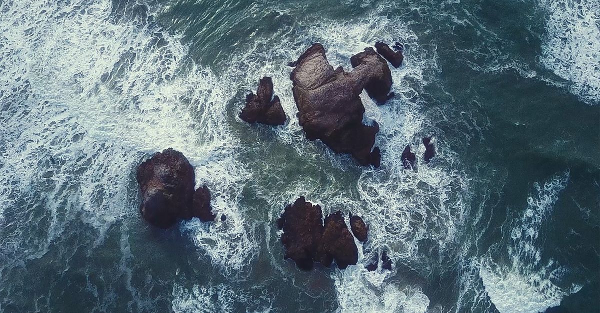 Delfini che saltano fuori dall'acqua